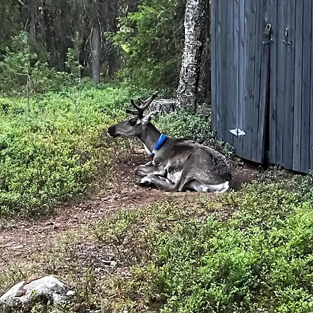 Rukan Rinnetie Vakantiehuis